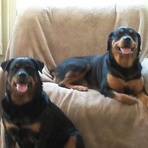 Meet your Posher, Candice